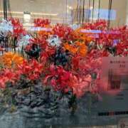 ヒメ日記 2025/11/01 22:56 投稿 はなこ 熟女家 京橋店