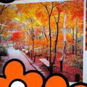 ヒメ日記 2025/11/02 23:46 投稿 はなこ 熟女家 京橋店