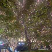 ヒメ日記 2025/11/18 23:06 投稿 はなこ 熟女家 京橋店