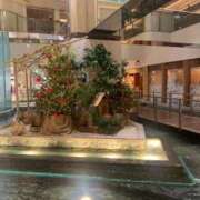 ヒメ日記 2025/12/20 23:16 投稿 はなこ 熟女家 京橋店