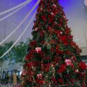 ヒメ日記 2025/12/26 00:16 投稿 はなこ 熟女家 京橋店