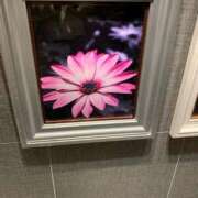 ヒメ日記 2026/01/24 22:56 投稿 はなこ 熟女家 京橋店