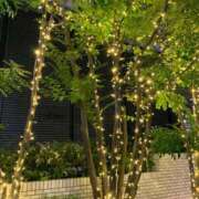 ヒメ日記 2026/09/20 22:59 投稿 はなこ 熟女家 京橋店