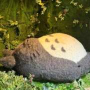 ヒメ日記 2025/08/24 10:27 投稿 ひなた まつど女学園