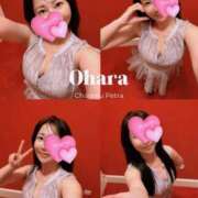 ヒメ日記 2026/01/28 08:03 投稿 大原 シャトーペトラ