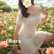 ヒメ日記 2026/01/31 21:21 投稿 大原 シャトーペトラ