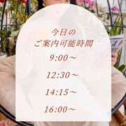 ヒメ日記 2026/03/16 08:09 投稿 大原 シャトーペトラ