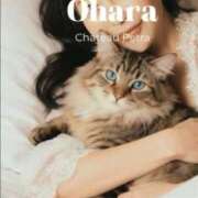 ヒメ日記 2026/05/26 12:52 投稿 大原 シャトーペトラ