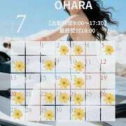 ヒメ日記 2026/06/14 09:43 投稿 大原 シャトーペトラ