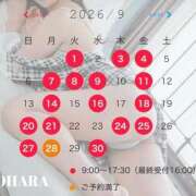 ヒメ日記 2026/08/25 08:02 投稿 大原 シャトーペトラ