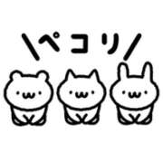 もえか 取り扱い説明書 オトナのハンドメイド