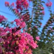 ヒメ日記 2025/07/25 18:26 投稿 雪乃 昼顔妻 五反田店