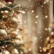 ヒメ日記 2025/12/08 09:36 投稿 雪乃 昼顔妻 五反田店