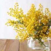 ヒメ日記 2026/02/28 00:26 投稿 雪乃 昼顔妻 五反田店