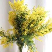 ヒメ日記 2026/03/11 22:40 投稿 雪乃 昼顔妻 五反田店