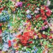 ヒメ日記 2026/05/09 18:06 投稿 雪乃 昼顔妻 五反田店