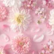 ヒメ日記 2026/05/12 01:16 投稿 雪乃 昼顔妻 五反田店
