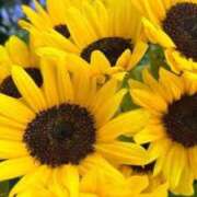 雪乃 明日ー❣️🌻 昼顔妻 五反田店