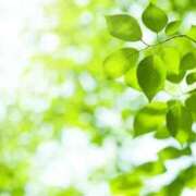 雪乃 🌿🌿🌿 昼顔妻 五反田店
