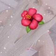 マコ 出勤しました❣️ 越谷スイートラバー