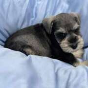 ヒメ日記 2025/10/09 10:08 投稿 ひより 水戸人妻花壇