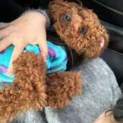 ヒメ日記 2026/02/21 23:49 投稿 うらら 人妻倶楽部 内緒の関係 川越店