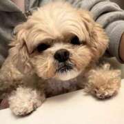 ヒメ日記 2025/09/24 11:35 投稿 東雲ありな 渋谷とある風俗店♡やりすぎコレクション