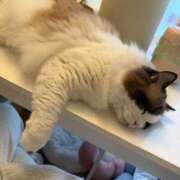 ヒメ日記 2025/09/27 16:10 投稿 東雲ありな 渋谷とある風俗店♡やりすぎコレクション