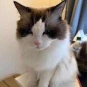 ヒメ日記 2025/10/01 18:20 投稿 東雲ありな 渋谷とある風俗店♡やりすぎコレクション