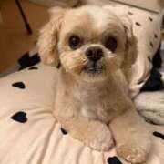 ヒメ日記 2025/10/03 14:20 投稿 東雲ありな 渋谷とある風俗店♡やりすぎコレクション