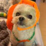 ヒメ日記 2025/10/08 15:20 投稿 東雲ありな 渋谷とある風俗店♡やりすぎコレクション