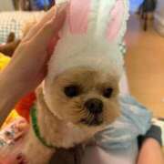 ヒメ日記 2025/10/08 18:20 投稿 東雲ありな 渋谷とある風俗店♡やりすぎコレクション