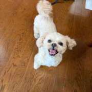 ヒメ日記 2025/10/12 19:31 投稿 東雲ありな 渋谷とある風俗店♡やりすぎコレクション