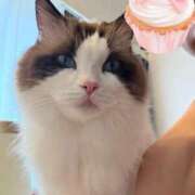 ヒメ日記 2025/10/13 16:20 投稿 東雲ありな 渋谷とある風俗店♡やりすぎコレクション