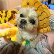 ヒメ日記 2025/10/14 17:20 投稿 東雲ありな 渋谷とある風俗店♡やりすぎコレクション