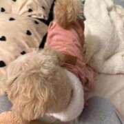 ヒメ日記 2025/11/11 09:20 投稿 東雲ありな 渋谷とある風俗店♡やりすぎコレクション