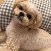 ヒメ日記 2025/12/03 11:50 投稿 東雲ありな 渋谷とある風俗店♡やりすぎコレクション