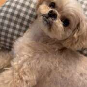 ヒメ日記 2025/12/11 16:50 投稿 東雲ありな 渋谷とある風俗店♡やりすぎコレクション