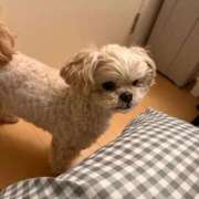 ヒメ日記 2025/12/22 23:20 投稿 東雲ありな 渋谷とある風俗店♡やりすぎコレクション