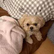 ヒメ日記 2025/12/23 10:20 投稿 東雲ありな 渋谷とある風俗店♡やりすぎコレクション