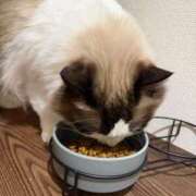 ヒメ日記 2026/01/12 22:00 投稿 東雲ありな 渋谷とある風俗店♡やりすぎコレクション