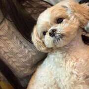 ヒメ日記 2026/01/24 21:20 投稿 東雲ありな 渋谷とある風俗店♡やりすぎコレクション