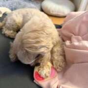 ヒメ日記 2026/02/10 11:00 投稿 東雲ありな 渋谷とある風俗店♡やりすぎコレクション