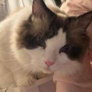 ヒメ日記 2026/02/10 23:10 投稿 東雲ありな 渋谷とある風俗店♡やりすぎコレクション