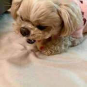 ヒメ日記 2026/02/13 22:53 投稿 東雲ありな 渋谷とある風俗店♡やりすぎコレクション