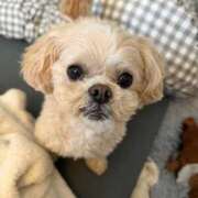 ヒメ日記 2026/02/19 18:50 投稿 東雲ありな 渋谷とある風俗店♡やりすぎコレクション