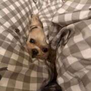 ヒメ日記 2026/03/07 21:31 投稿 東雲ありな 渋谷とある風俗店♡やりすぎコレクション