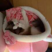 ヒメ日記 2026/03/20 11:00 投稿 東雲ありな 渋谷とある風俗店♡やりすぎコレクション