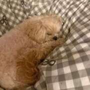 ヒメ日記 2026/03/23 20:50 投稿 東雲ありな 渋谷とある風俗店♡やりすぎコレクション