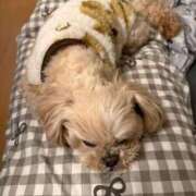 ヒメ日記 2026/03/26 10:00 投稿 東雲ありな 渋谷とある風俗店♡やりすぎコレクション